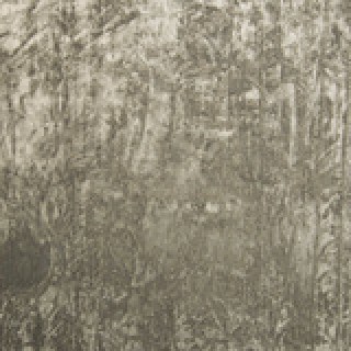 Ткань EXTERIO  MAJELIS -Plain-mint   140 см